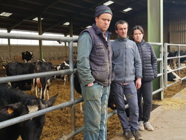 Two French farmers claimed 4G tower is responsible for the death of their 40 cows